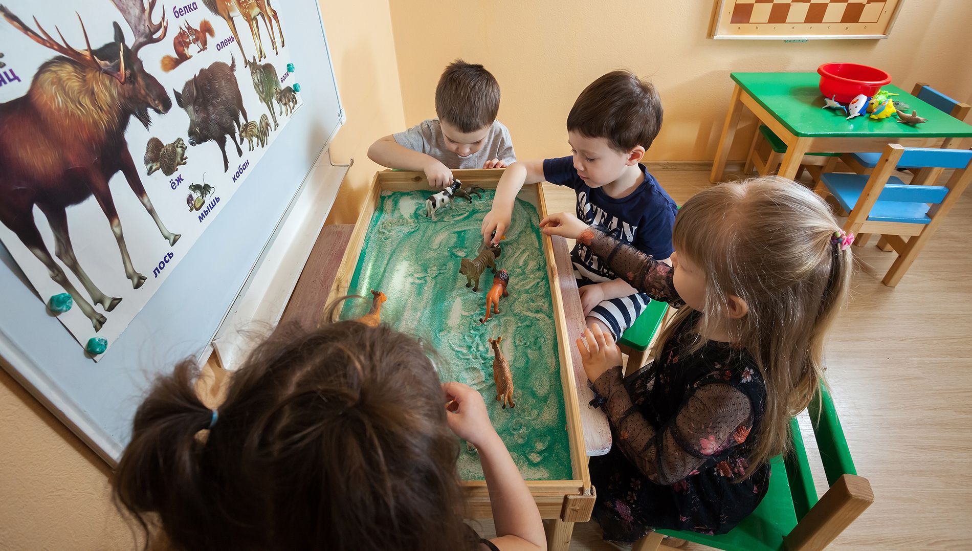 Воспитание бережного отношения к животным у детей 4-5 лет
