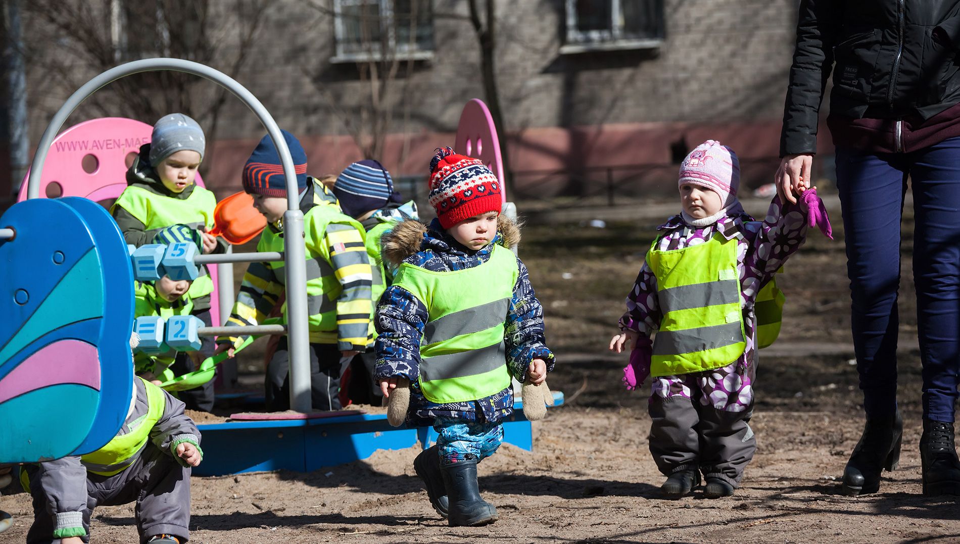 Любовь к природе без растений и домашних животных?