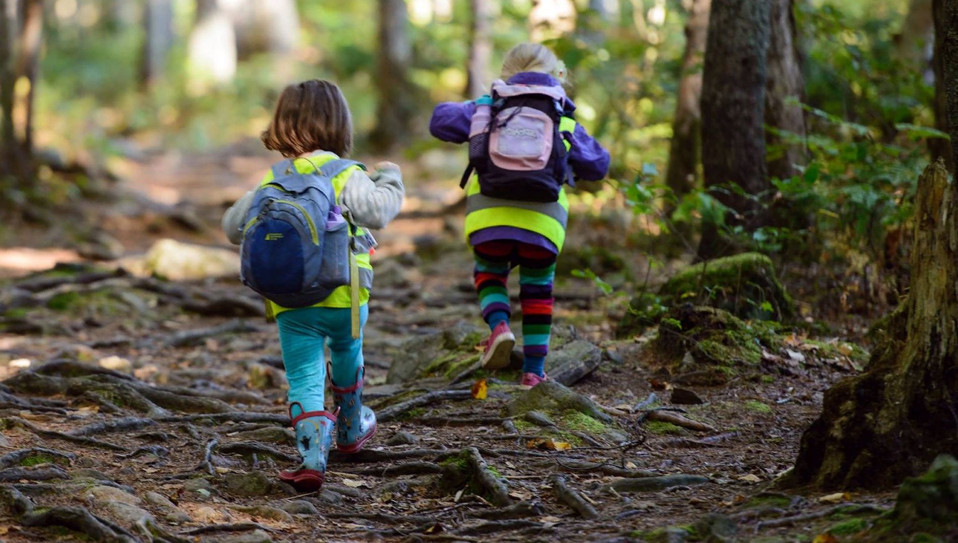 Впр гуляя в лесу попадаешь. Прогулка в лесу. Прогулки в лесу с детьми. Малыши. В лесу. Прогулка в лесу летом с детьми.
